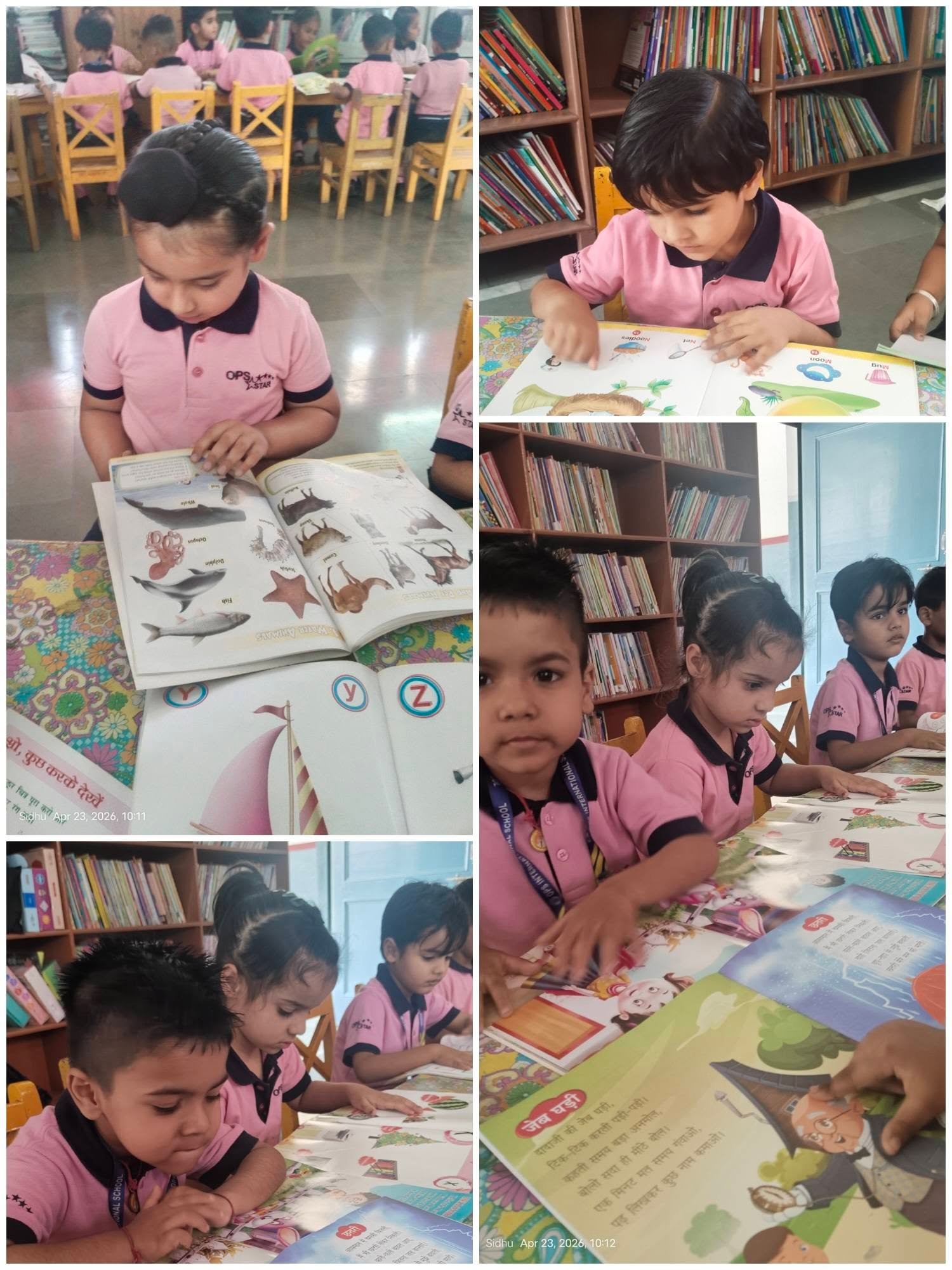 School Library