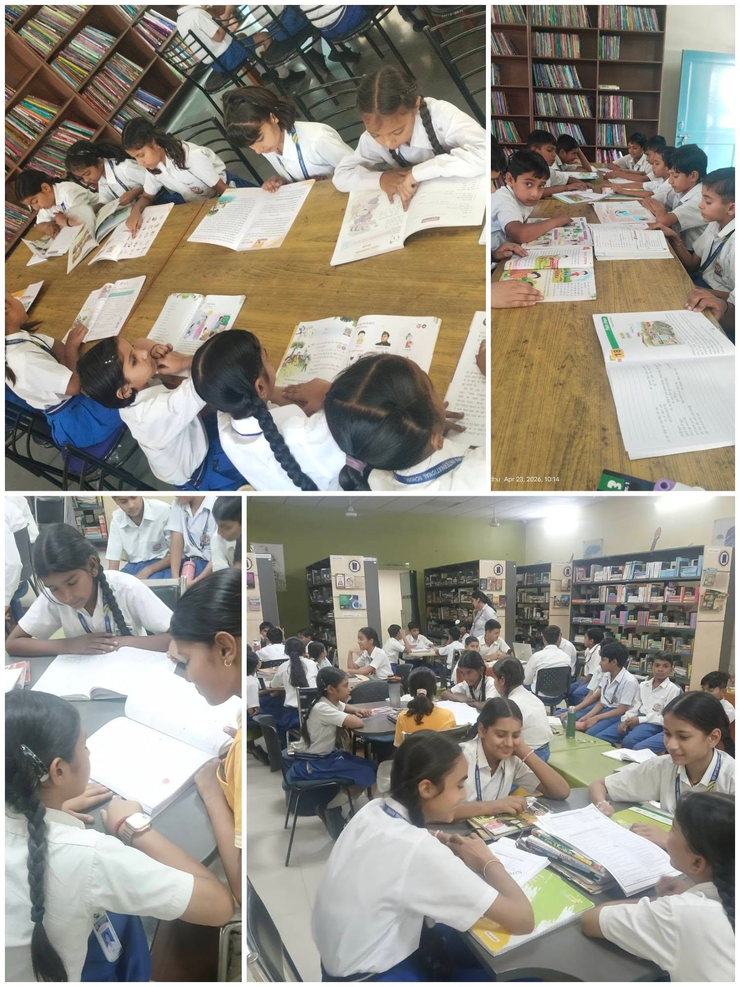 School Library