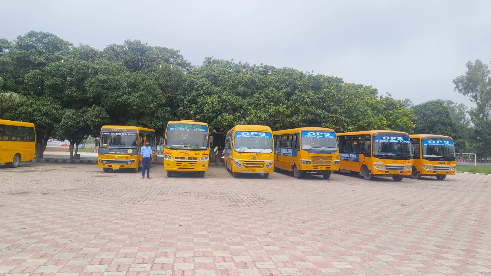 School Bus