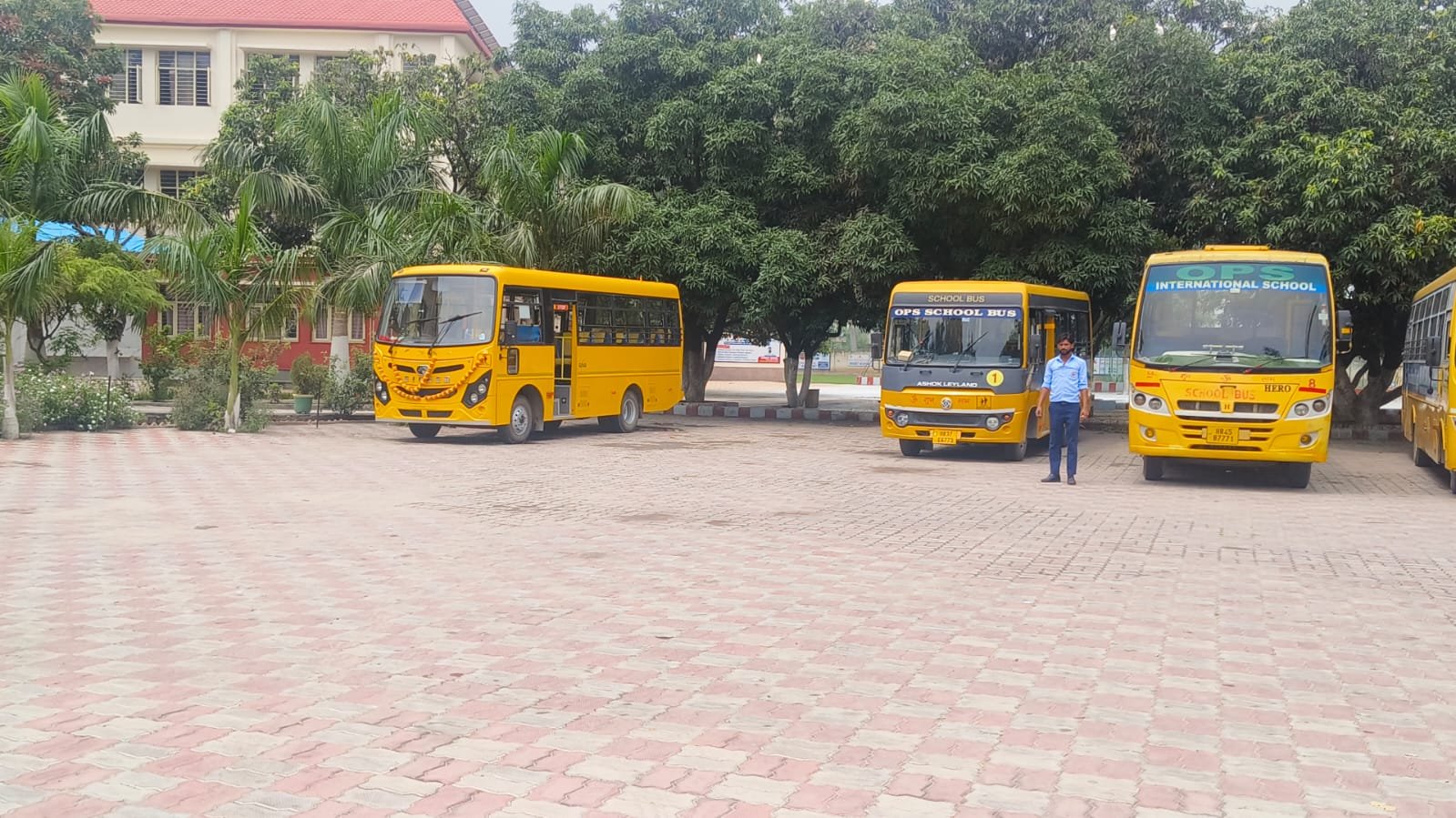 School Bus