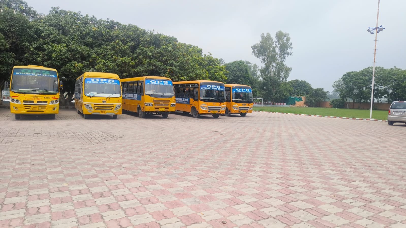 School Bus