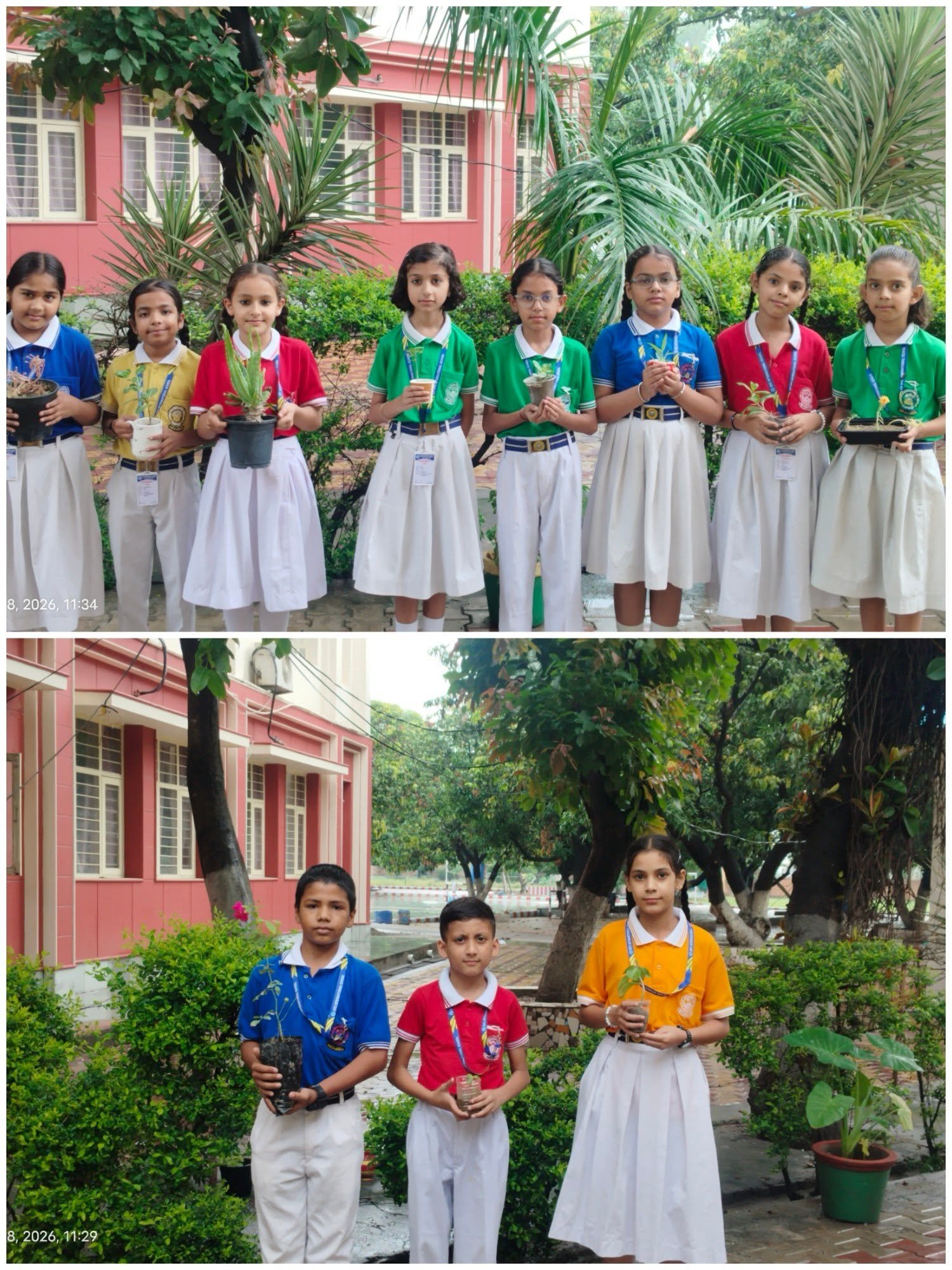 Van Mahotsav