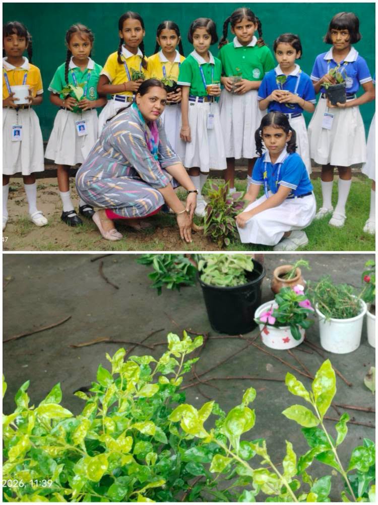 Van Mahotsav