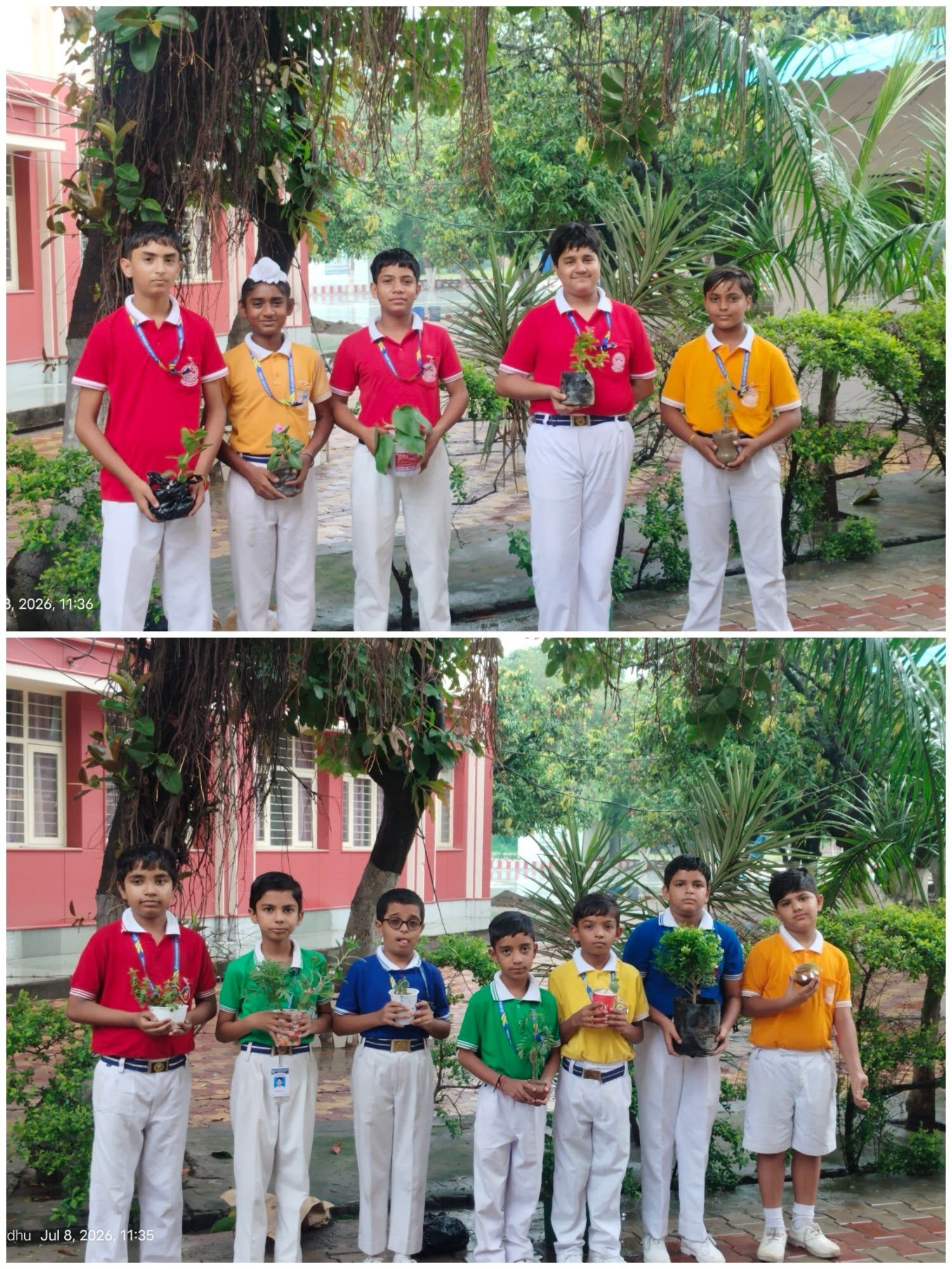 Van Mahotsav