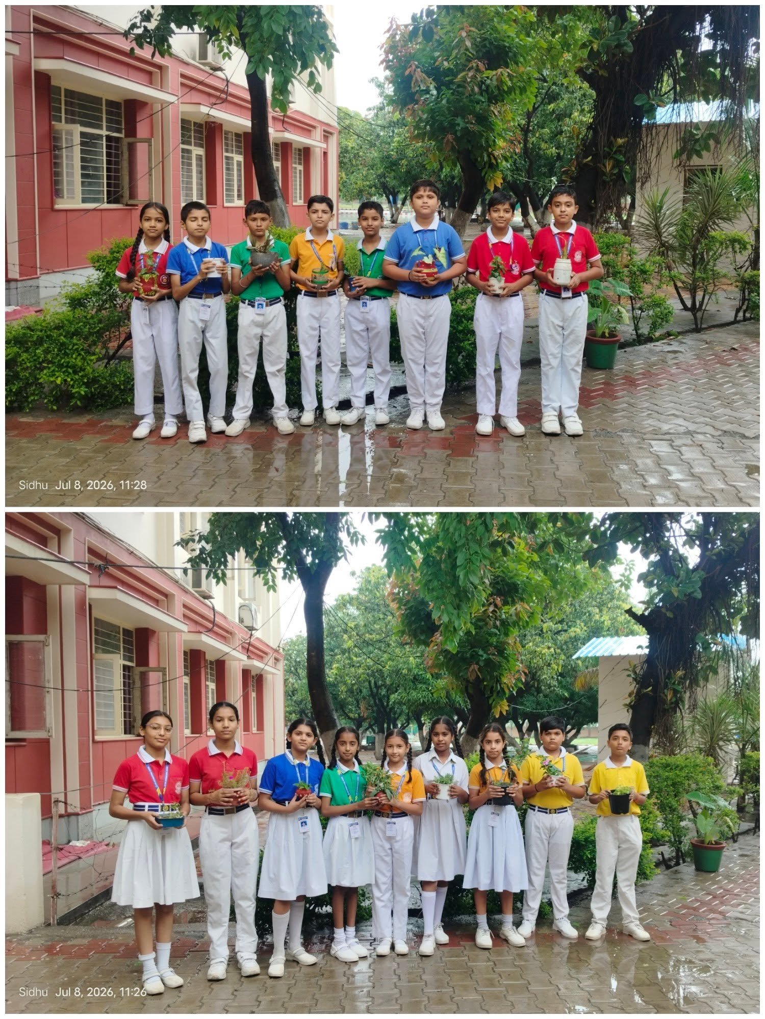 Van Mahotsav