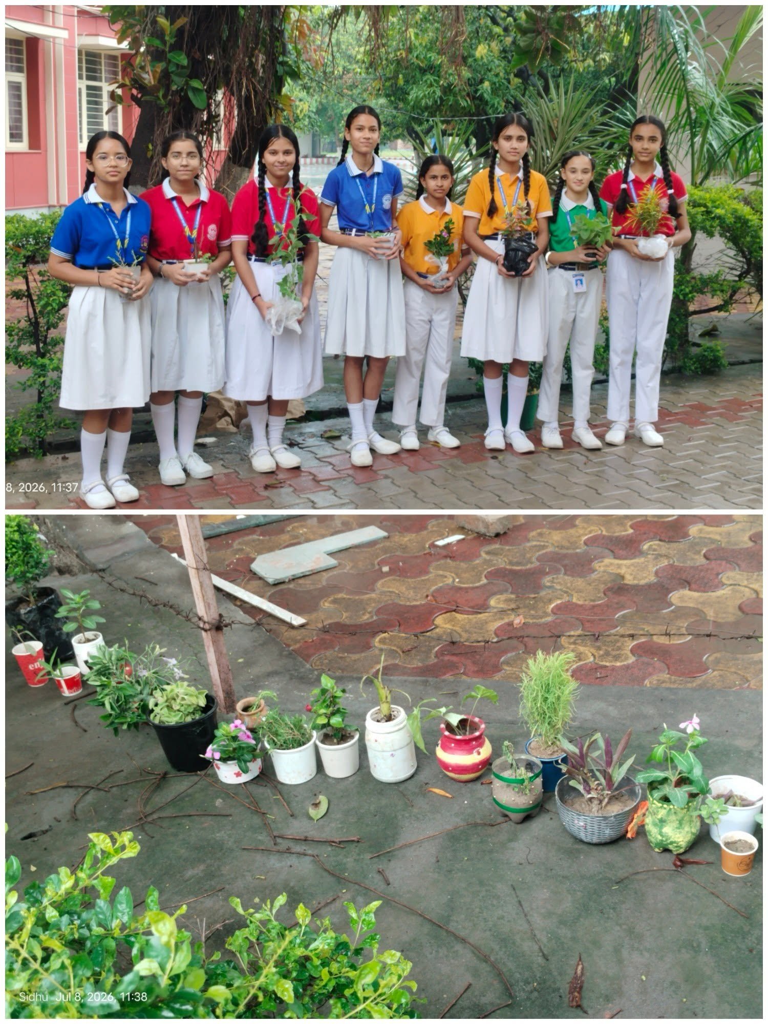 Van Mahotsav