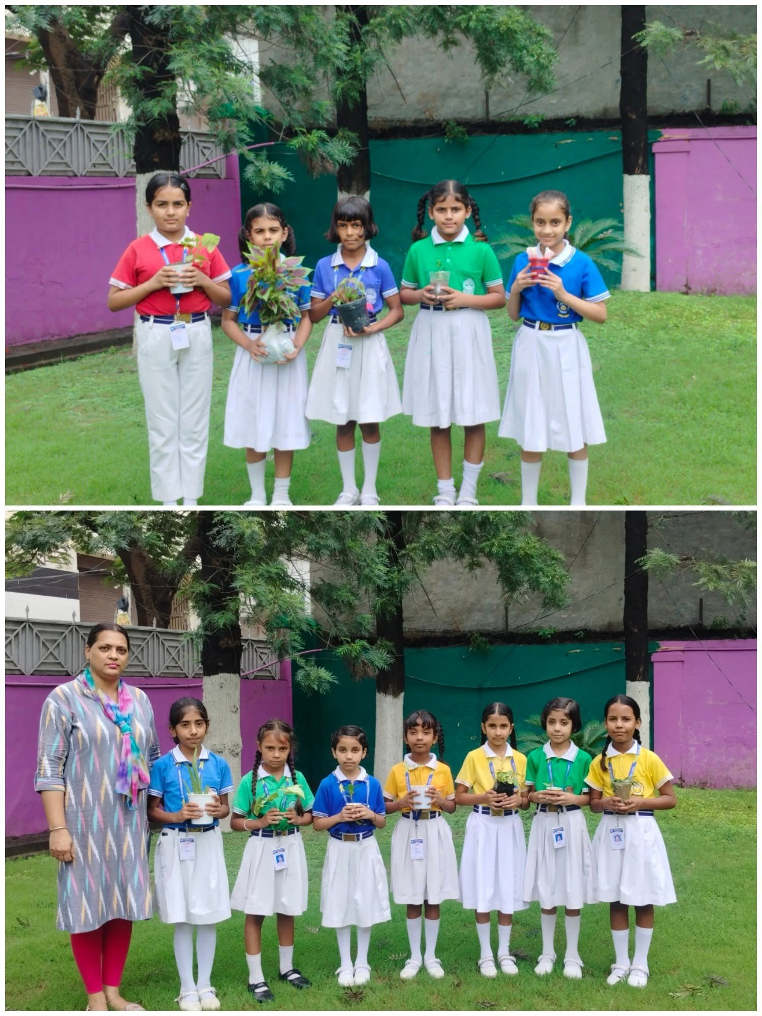 Van Mahotsav